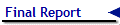 Final Report