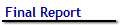 Final Report